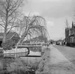 En stadsgata i Aalsmeer. Tyskland-Holland-Belgien 1938.