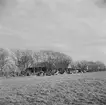 Vid Zuiderzee, (nuvarande IJsselmeer). Tyskland-Holland-Belgien 1938. IJsselmeer är en insjö i Nederländerna som uppstod genom uppförandet av en dammbyggnad i Zuiderzee, en vik av Nordsjön.