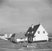 Gård vid Zuiderzee, (nuvarande IJsselmeer). Tyskland-Holland-Belgien 1938. IJsselmeer är en insjö i Nederländerna som uppstod genom uppförandet av en dammbyggnad i Zuiderzee, en vik av Nordsjön.