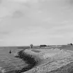 Vid Zuiderzee, (nuvarande IJsselmeer). Tyskland-Holland-Belgien 1938. IJsselmeer är en insjö i Nederländerna som uppstod genom uppförandet av en dammbyggnad i Zuiderzee, en vik av Nordsjön.