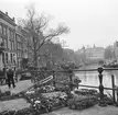 I Amsterdam. Vid Amstel? Tyskland-Holland-Belgien 1938.