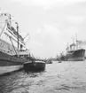 Hamnen i Hamburg. Tyskland-Holland-Belgien 1938.