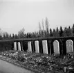 Kyrkogården Hauptfriedhof Ohlsdorf i Hamburg. Tyskland-Holland-Belgien 1938.