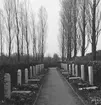 Kyrkogården Hauptfriedhof Ohlsdorf i Hamburg. Tyskland-Holland-Belgien 1938.