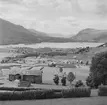 Fortunskjølden. Norge 1946.