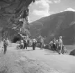 Marifjøra i Luster. Norge 1946.