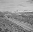 Jotunheimen. Norge 1946.