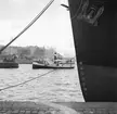 Hamnen i Oslo. Norge 1946.