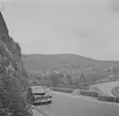 Belgien. Belgien-Luxemburg 1953.