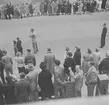 Belgien. Belgien-Luxemburg 1953.