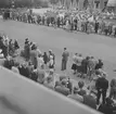 Belgien. Belgien-Luxemburg 1953.