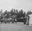 Dansande watutsier. Belgiska Kongo (idag Kongo-Kinshasa). Afrika.