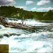 Flottning Nämnforsen
Män jobbar med stockar vid forsande älv.