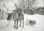 Gatubild från Haparanda.
Märkt G Berglunds Ljusbildstillverkning