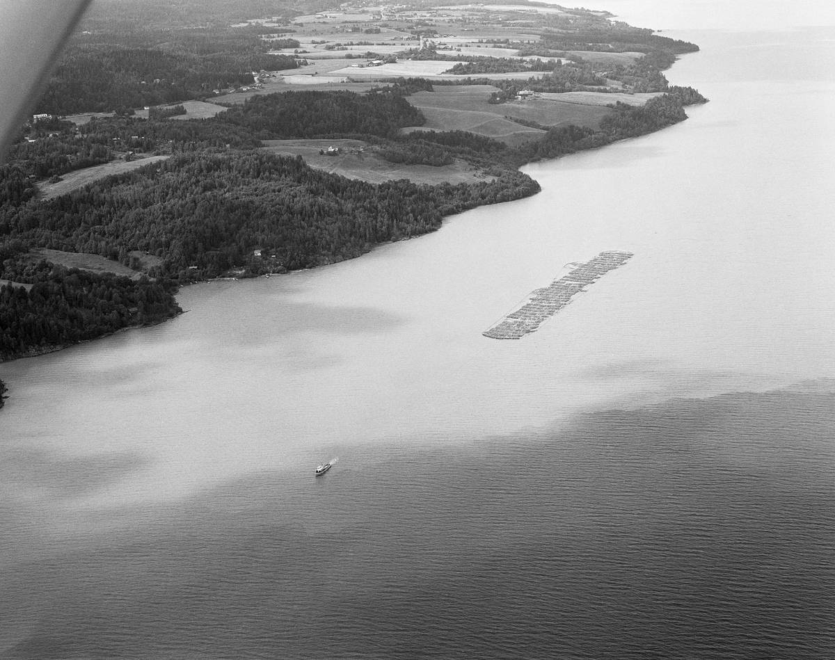 Tømmerslep over innsjøen Øyeren sommeren 1985. Tømmer fra Østerdalen og Solør, Gudbrandsdalen, Mjøstraktene og bygdene på Øvre Romerike ble fløtet løst ned til Fetsund lenser i nordenden av denne innsjøen. Her ble virket fra gammelt av sortert og «soppet» eller «moset» (buntet), og det som skulle til Lillestrøm, Strømmen og Oslo ble skilt fra det som skulle videre nedover vassdraget.  Da dette fotografiet ble tatt var det bare storbedriften Borregaard fabrikker i Sarpsborg som fortsatt fløtet, så noe særlig sortering var det ikke snakk om lenger.  Tømmeret ble moset i høvelige bunter med hver sin «grime» (vaierbindsel).  Inntil 200 av disse mosene ble bundet sammen i et slep som ble buksert forsiktig ned gjennom en meandrerende djupål i det grunne deltapartiet lengst nord i innsjøen.  Når et slikt slep kom fram til Sofiedal på innsjøens vestside, like ved grensa mellom Rælingen og Enebakk kommuner, ble slepet ankret opp og slepebåten Mørkfos gikk tilbake til Fetsund for å hente nok et slep av samme type.  Når også dette var framme ved Sofiedal ble de to slepene koplet sammen, slik at Mørkfos kunne trekke begge to sørover med ei lang trosse.  I noen tilfeller ble det også hektet på bommer med løstømmer fra «etterrensken» langs sjøen.  Slepet kom gjerne fram til Sleppetangen, ved nedre Glommas utløp fra Øyeren, seint på kvelden.  Da ble slepet oppankret mot land, slik at lokale fløtere påfølgende dag kunne løsne vaierbindslene og la tømmeret flyte løst nedover mot tømmerrennene forbi kraftverksdammene nedover i vassdraget.  Mørkfos gikk nordover mot Fetsund igjen om natta, slik at båten kunne fortsette slepearabeidet derfra neste morgen.  Dette flyfotografiet er tatt etter at to slep var koplet sammen til ett, altså nedenfor Sofiedal, idet det slepes langs Øyerens vestbredd.  Opptaket ble gjort i 1985, det siste året det foregikk kommersiell tømmerfløting i dette vassdraget.