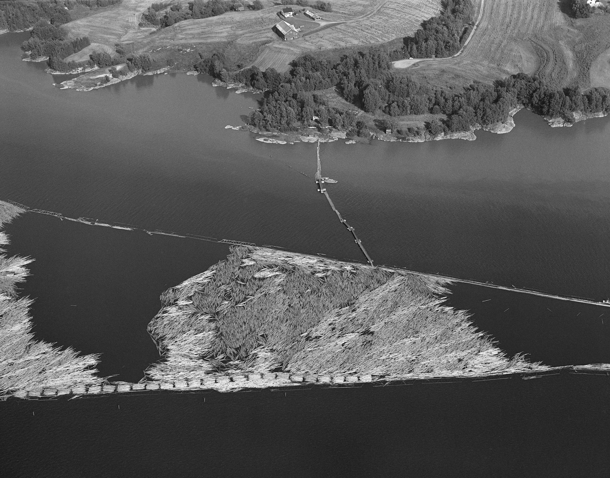 Flyfotografi, tatt over Glennetangen lenser i Nedre Glomma, som her er grense mellom Skiptvet og Varteig kommuner i Østfold. Bildet viser en betydelig mengde tømmer som er samlet i ei traktformet lense, antakelig inntakslensa til anlegget, der tømmeret ble sortert og buntet («moset») med sikte på buksering videre nedover, enten via elvas østre løp til bedrifter i Sarpsborg-regionen eller i det vestre løpet, via tømmertunnelen ved Eidet og Visterflo mot Fredrikstad-distriktet. Dette fotografiet ble tatt i 1985. Da var det bare treforedlingsbedriften Borregaard i Sarpsborg som fortsatt kjøpte tømmer i Glommavassdragets nedslagsfelt. Det vi ser ned på er med andre ord sulfittømmer som gikk usortert til Borregaard. 1985 var den siste fløtingssesongen i Glomma.