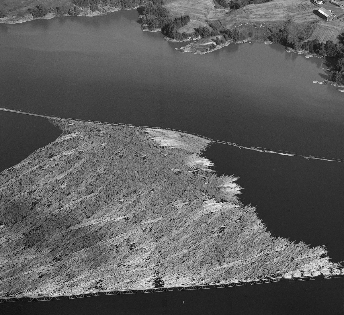 Flyfotografi, tatt over Glennetangen lenser i Nedre Glomma, som her er grense mellom Skiptvet og Varteig kommuner i Østfold. Bildet viser en betydelig mengde tømmer som er samlet i ei traktformet lense, antakelig inntakslensa til anlegget, der tømmeret ble sortert og buntet («moset») med sikte på buksering videre nedover, enten via elvas østre løp til bedrifter i Sarpsborg-regionen eller i det vestre løpet, via tømmertunnelen ved Eidet og Visterflo mot Fredrikstad-distriktet. Dette fotografiet ble tatt i 1985. Da var det bare treforedlingsbedriften Borregaard i Sarpsborg som fortsatt kjøpte tømmer i Glommavassdragets nedslagsfelt. Det vi ser ned på er med andre ord sulfittømmer som gikk usortert til Borregaard. 1985 var den siste fløtingssesongen i Glomma.