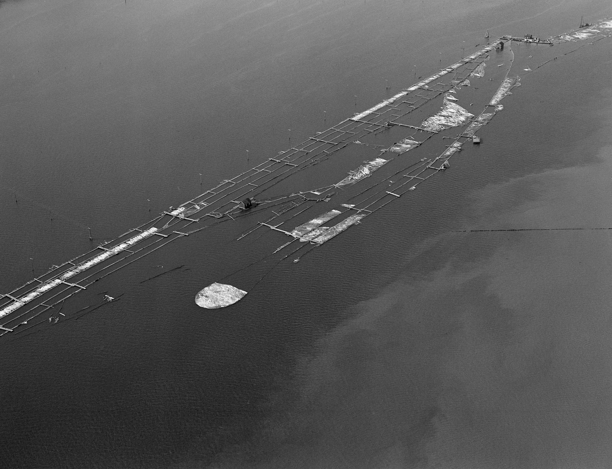 Flyfotografi fra Glomma fellesfløtingsforenings lenseanlegg ved Glennetangen i Nedre Glomma, som her var grense mellom kommunene Skiptvet og Varteig i Østfold. Fotografiet ble tatt i 1985, som var det siste året med tømmerfløting i dette vassdraget, og følgelig også det siste året lensene ved Glennetangen var i drift. Her ser vi ned på den øvre delen av anlegget. Aller øverst til høyre i bildet ser vi tømmerinntaket, der løstømmeret ble ført via ei traktformet lense som endte i en forholdsvis krapp sving. Der ble stokkene trukket inn i et retteanlegg med en serie roterende piggvalser som tømmeret skulle under. Hver valse hadde sin egen motor. Her ble tømmeret drevet i suksessivt i økende hastighet fram mot ei «bru». Derfra ble stokkene kastet ned i en kum. Like ovenfor kummen var det et retterhjul på tvers av strømretningen som bidro til at stokkene kom rett og fint inn i «rennene», de kanalene som ledet tømmeret ned mot «mosemaskinene», hvor det ble buntet med sikte på videre buksering mot Sarpsborg. Det siste fløtingsåret var det bare to av de fire mosemaskinene som var i drift, og følgelig var det stort sett i de to ytterste rennene (øverst til venstre) det gikk tømmer. Det øvrige tømmeret vi ser her (til høyre) var sannsynligvis sortert til side og lagt på vent fordi det var av litt andre kategorier. I den innerste renna (nederst) ser det ut til å ligge «kubb», massevirke som var levert i svært korte lengder.