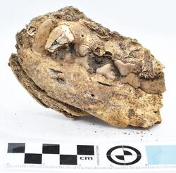 Norsa, Köping (RAÄ 131:1) - arkeologisk undersökning år 1963