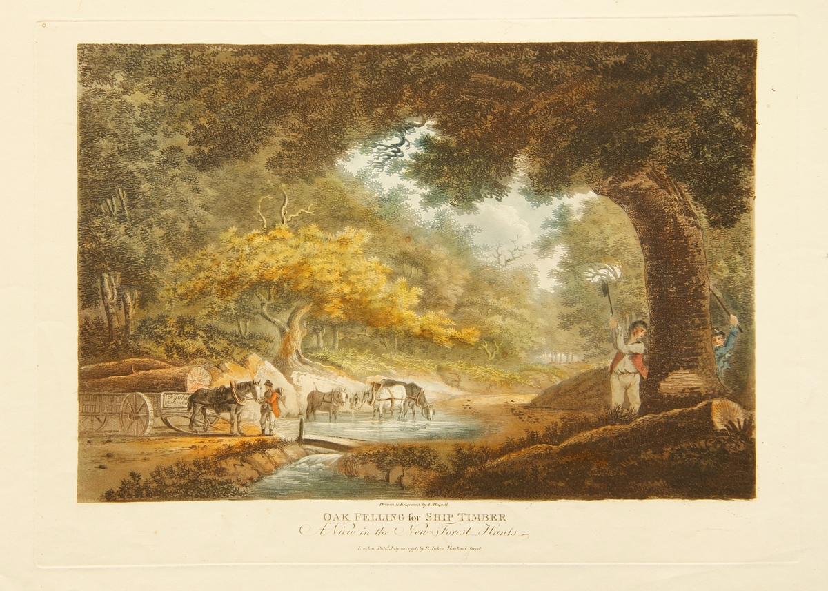 Oak felling for ship timber. A view in the New Forest, Hants [Grafikk]
