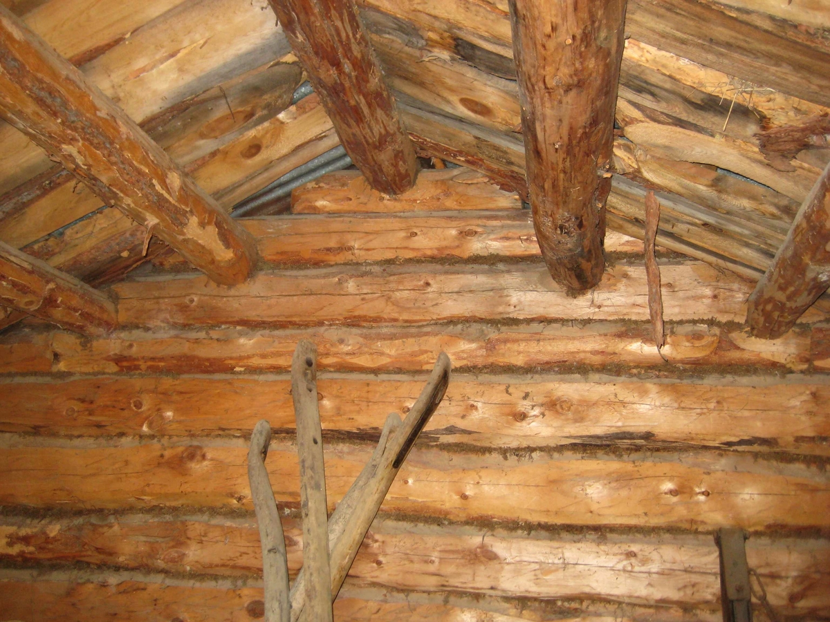 Uthus, innvendig