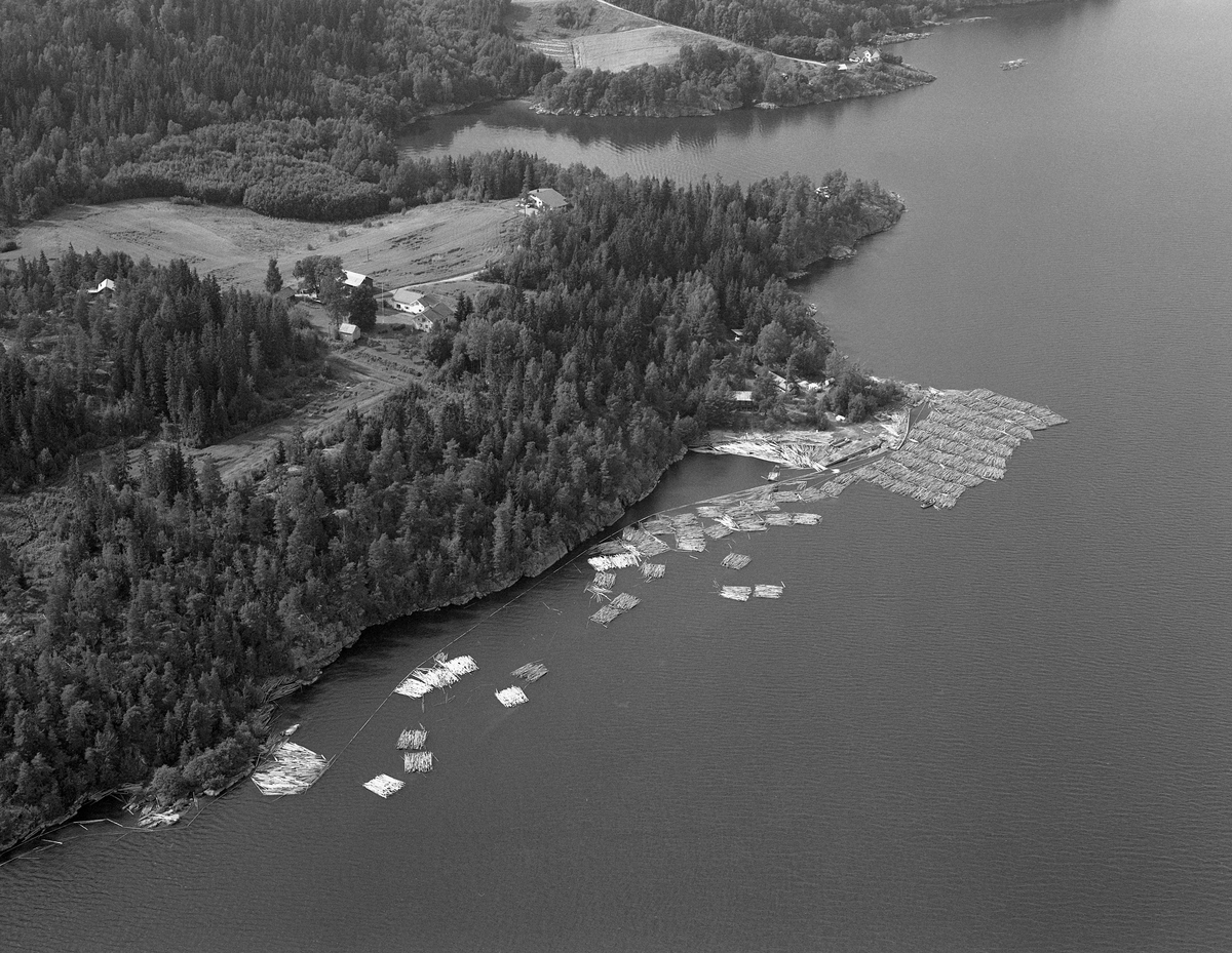 Flyfotografi fra den søndre delen av innsjøen Øyeren ved Sleppetangen i Spydeberg. Fotografiet er tatt 8. august 1985, altså den siste sommeren Glommavassdraget ble brukt som transportåre for tømmer. Slepene ble lagt mot land, og deretter vendte slepebåten nordover igjen for å hente et nytt slep neste dag. Ved Sleppetangen ble slepene, og vanligvis også «mosene» (tømmerbuntene) de var sammensatt av, løst opp, slik at de kunne drive med strømmen mot nedre Glommas utløp (Mørkfoss). Da dette fotografiet ble tatt later det til at man slapp mosene hele, antakelig med sikte på å ta av «grimene» (vaierbindene) ved inntaket til tømmerrenna ved Solbergfoss kraftverk. Dette ble gjort når det var vestavind, som kunne fått enkeltstokker til å drive tilbake igjen mot søndre del av Øyeren. På høydedraget vest for Sleppetangen (til venstre på bildet) ligger gardsbruket Sandvik med omliggende åkerarealer og skog. Ovenfor ser vi vika Bogen.