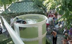 Försvarsmaktens dagar.

Armens dykare, förevisning och mässa