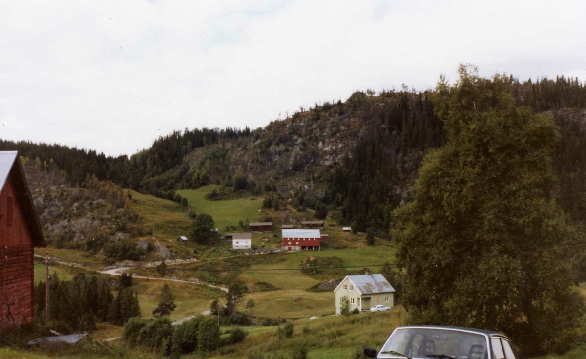 Heggtveit vestre frå Heggtveit østre