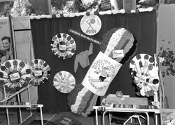 Husmormessen 1954. Fra fotoarkivet etter portrettfotograf Cl