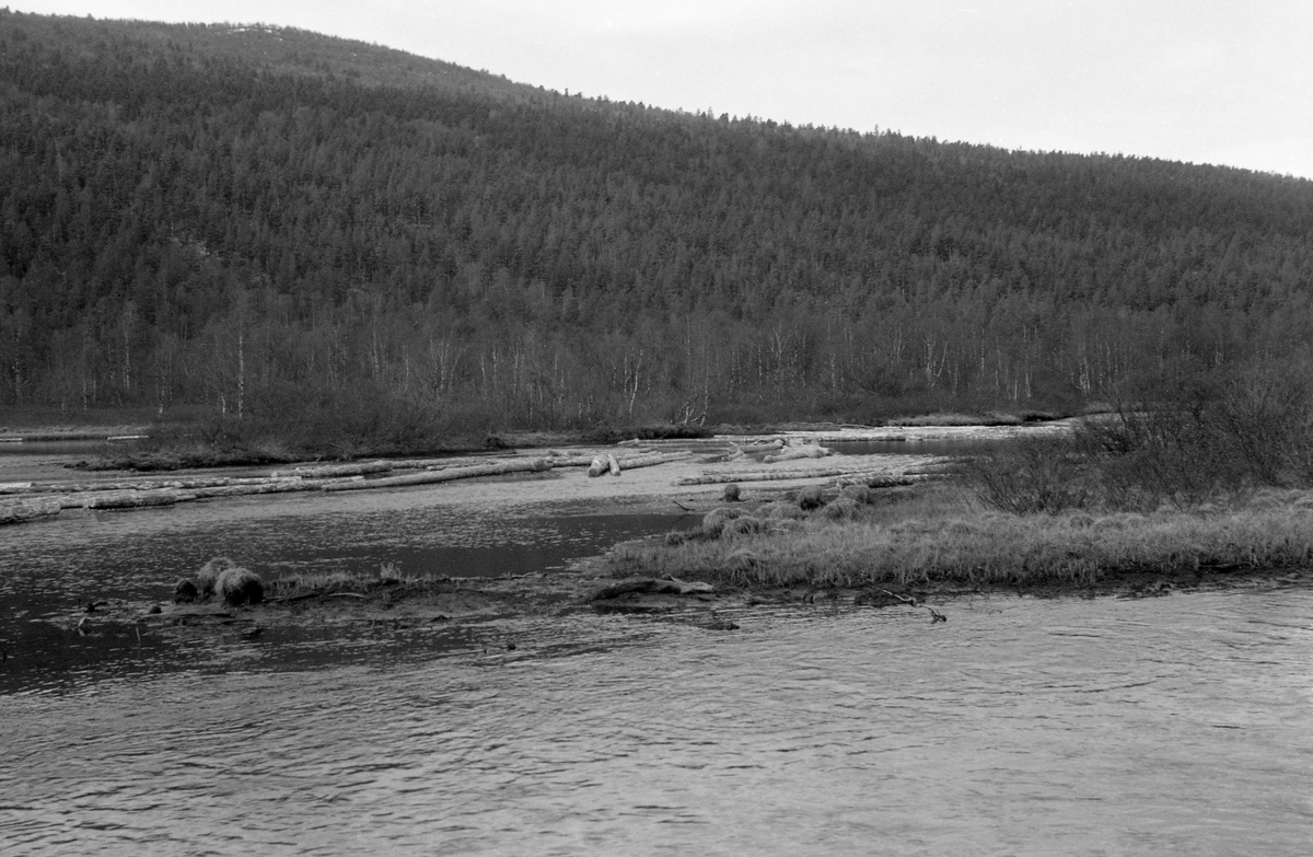 Landskapsbilde, tatt ved elva Hinøglas innløp i den nordvestre enden av vatnet Slangen i Vinstravassdraget i Nord-Fron. Det fløt en del tømmer på vannflata. Bildet ble tatt i 1959. Dette året var det innmerket 59 721 tømmerstokker med et volum på 8 177 kubikkmeter til fløting i dette vassdraget, men vi vet ikke hvor stor stor andel av dette kvantumet som kom fra skog som lå ovenfor Slangen.