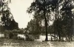Växjö, Bokhultet, ca 1910.