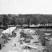 Utsikt från Växjö gamla läroverk, över nya lasarettstomten, 1966-06-13.