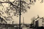 Ingelstadsvägen i Växjö, 1940-tal. Linnéparken och domkyrkan i bakgrunden.