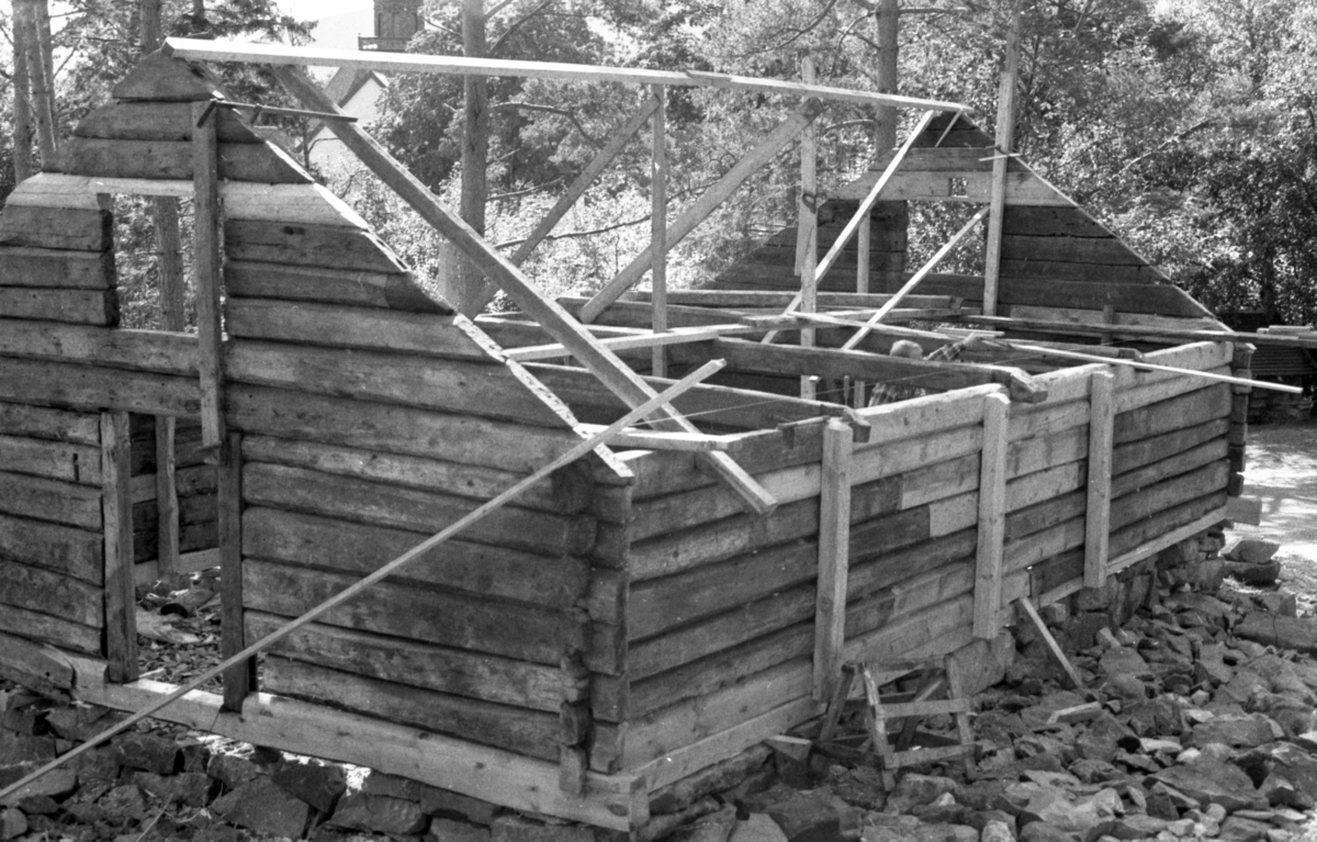 Dokumentasjonsbilder i serie fra oppføringa av ei bygning på Sunnmøre Museum. Et kufjøs med ei tilbygd grisebinge fra Fiskå i Vanylven.