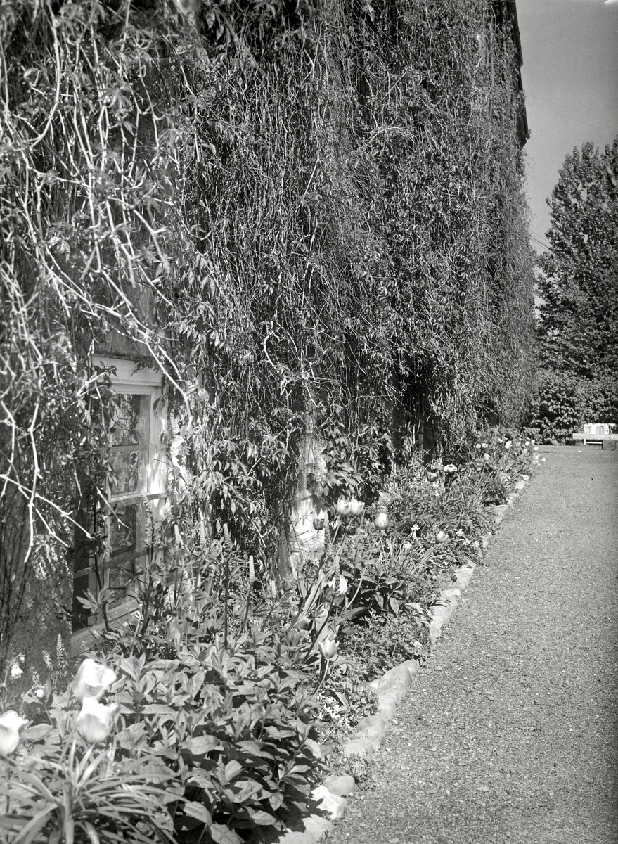 Gjøvik Sykehus 1947
