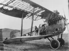 Brandskadat flygplan Phönix D.II nr 967, står på ett flygfält, 1923.