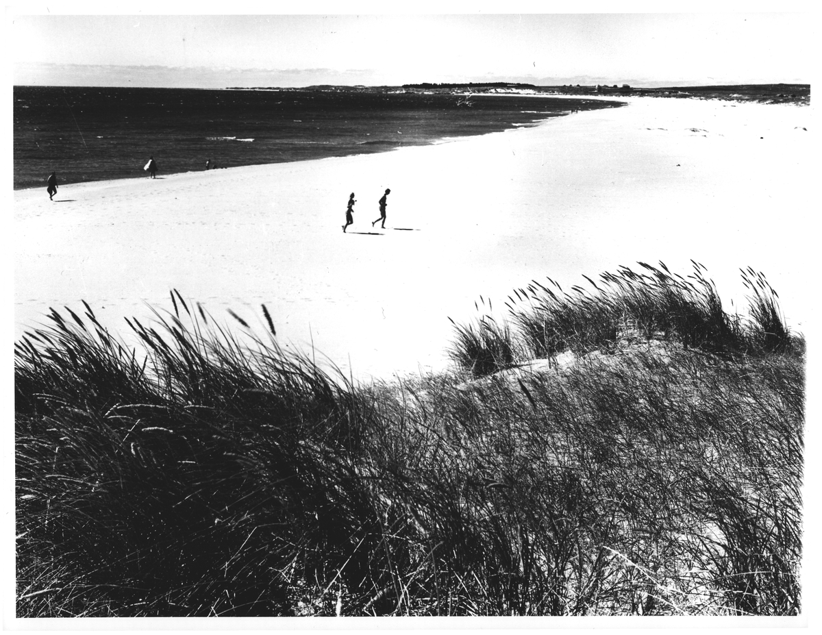 Anselig reviera. Ogna, Jæren