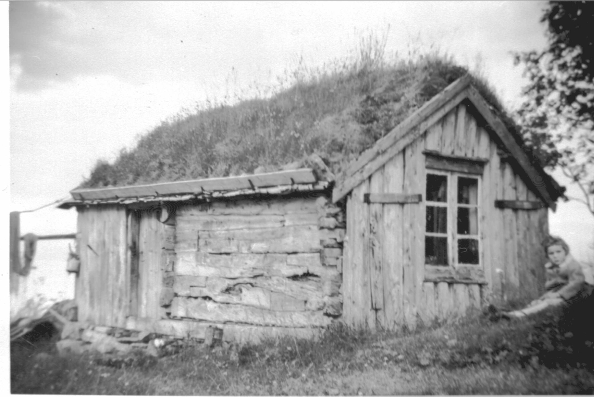 Husmannstue med torvtak og laftet vegg i Skjellesvik på Grytøya. Pike sitter på bakken til høyre.