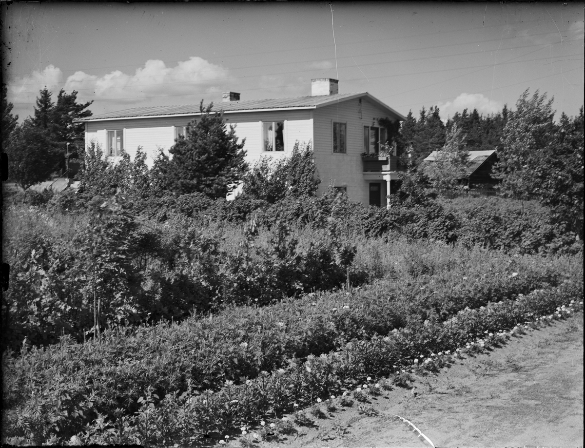 Bostadshus, Ed, Börstils socken, Uppland