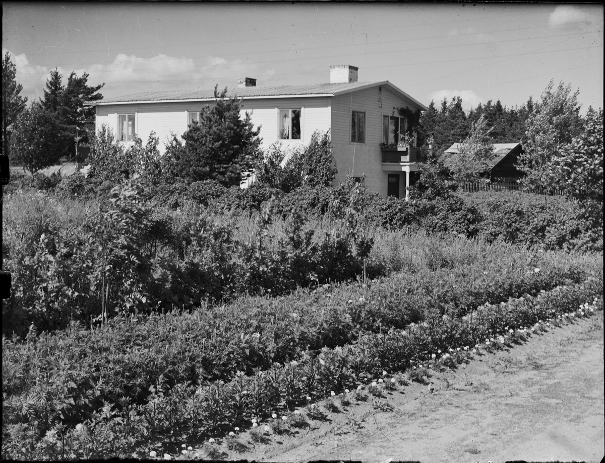 Bostadshus, Ed, Börstils socken, Uppland