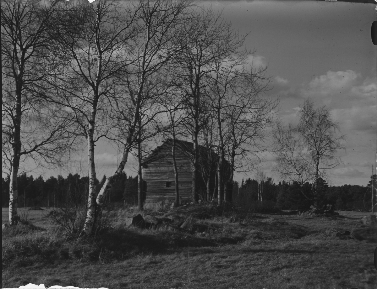 Ekonomibyggnad, Östhammar, Uppland