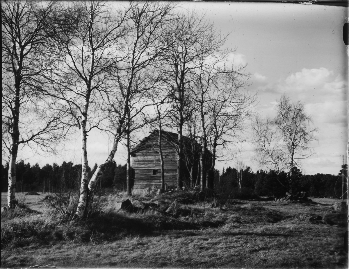 Ekonomibyggnad, Östhammar, Uppland