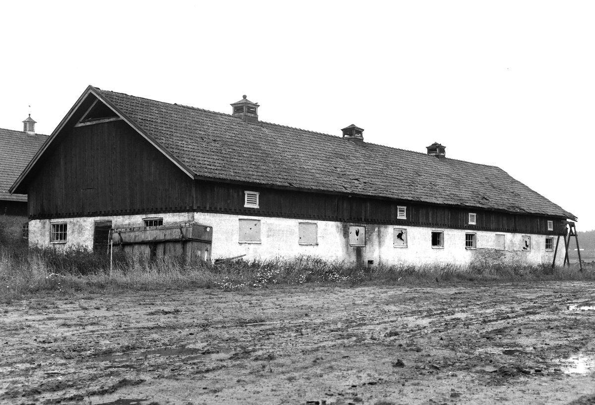 Dokumentation av byggnader som fanns på Ryds herrgård  före rivning, 1967.