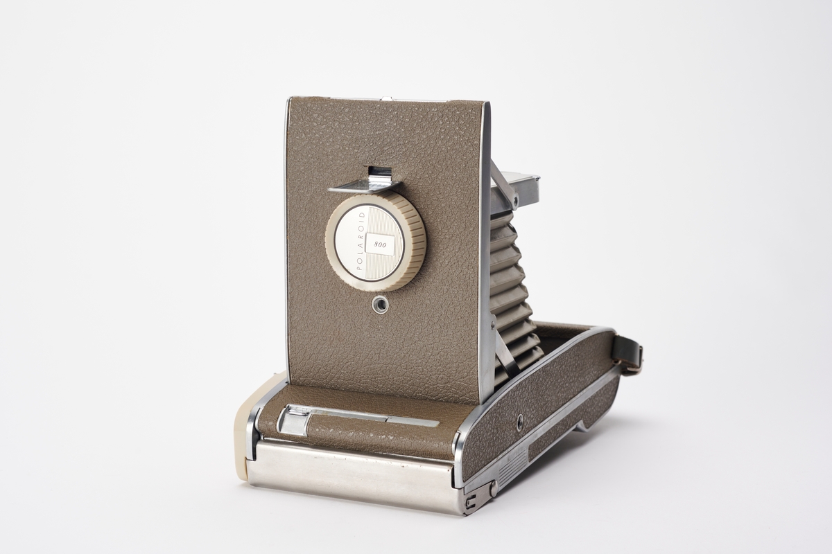Model 800 er et instant kamera produsert av Polaroid fra 1957 til 1962. Foldekameraet er utstyrt med målsøker og mulighet for avtagbar blits.
Objektiv: 130 mm F8.8
Film: Type 40