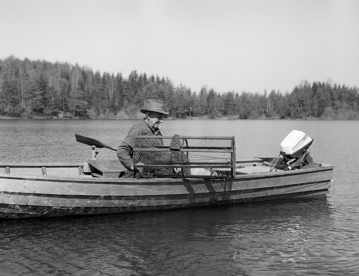 Yrkesfisker Paul Stensæter (1900-1982) fisker abbor med teine i Steinsfjorden, en sidearm i Tyrifjorden, i Hole kommune i Buskerud. Fiskeren er fotografert i en klinkbygd trebåt med tverr akterende, der det var montert en påhengsmotor. På båtripa holdt Stensæter ei teine, et tilnærmet sylindrisk innstengingsredskap med en traktformet åpning i den ene tverrenden. Teina var lagd av hønsenetting og trespiler. Stensæter var kledd i busserull og hadde hatt på hodet.

Åsmund Eknæs fra Norsk Skogbruksmuseum hadde mye kontakt med Paul Stensæter. I 1975 oppsummerte han intervjuinformasjon og observasjoner han hadde gjort i en artikkel der han skisserte årssyklusen i Stensæters fiskerivirksomhet. Om vårfisket etter abbor skrev han blant annet:

«På overgangen mellom vinter og vår, i mars-april er det en stille periode før det hektiske vår- og sommerfisket. Flere av de viktigste fiskeartene i Steinsfjorden har gytetid i mai-juni og fisket drives mest effektivt i denne tida. De tre aktuelle arter er gjedde, brasme og abbor. I tillegg kommer et ikke ubetydelig krepsefiske seinere på sommeren. ....

Som nevnt under gjeddefisket er abboren viktig som agn på reiven. Men det er først og fremst som matfisk den har sin betydning. Abboren var høyt skattet av mange, og de store fangstene som ble gjort i gytetida om våren og seinere på sommeren var det ikke vanskelig å finne avsetning for.

I gytetida er ruser eller "teiner" det mest effektive redskap. Den eldste typen av slike teiner ble laget ved at det først ble slått en sirkel på bakken, lik diameteren på teina. Så stakk de pinner nede i bakken langs sirkelen og fikk hovedformen. Disse langsgående pinnene ble holdt sammen av en tverrfletting av tynne kvister. I toppen ble det satt igjen et rundt hull med lokk til uttaging av abboren. Kalven ved inngangen, som hindret fisken i å komme ut igjen, flettet de i lindebast.

En type besto av langsgående pinner trukket med garnvev dannet overgangen til de teinene som brukes i dag. Disse er sylindriske og trukket med netting. Kalven er av garnvev.

Hvis vi skal sammenligne disse ulike typene av teiner for å se hvem av dem som fisket best, ser det ut til å være vanlig mening at utseendet minner mest om kvistvaser av det slaget som abboren gjerne legger rogn i.

Det kanskje mest effektive redskap på abboren var reiven. Når to stykker fisket sammen var det mulig å ha abborreiv med opptil 1 000 kroker. Disse hang i ca. 30 cm lange tamser med 2 favners mellomrom. Vi fikk altså her ei line på omkring 4 kilometers lengde! Reiven ble ikke satt på samme sted to dager i trekk. De satte den "bassenget rundt", dvs. at de fulgte en bestemt rutine for å få fisket rundt hele fjorden. ...

Garn er det tredje redskap for abbor. Og det var helst i en spesiell sammenheng, som "støkkenett" det ble brukt. Når det har vært stille vær i lengre tid samler abboren seg og trekker inn på grunne ører og skjær om natta. Rundt slike skjær satte de ett eller flere garn og skremte fisken ved å kaste stein i vannet.»