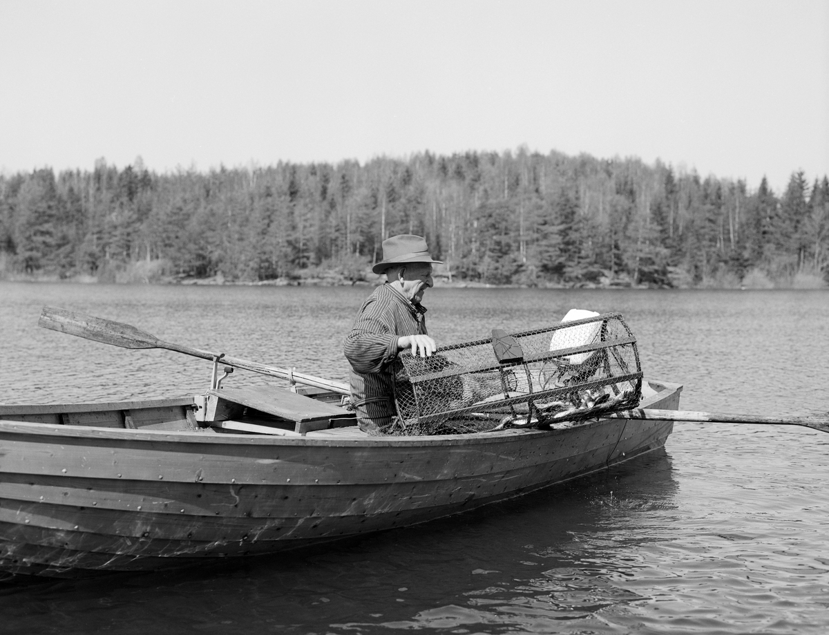 Yrkesfisker Paul Stensæter (1900-1982) fisker abbor med teine i Steinsfjorden, en sidearm i Tyrifjorden, i Hole kommune i Buskerud. Fiskeren er fotografert i en klinkbygd trebåt med tverr akterende, der det var montert en påhengsmotor. På båtripa holdt Stensæter ei teine, et tilnærmet sylindrisk innstengingsredskap med en traktformet åpning i den ene tverrenden. Teina var lagd av hønsenetting og trespiler. Ei fastbundet steinhelle fungerte som søkke. Inne i teina skimter vi en abborfangst. Stensæter var kledd i busserull og hadde hatt på hodet.

Åsmund Eknæs fra Norsk Skogbruksmuseum hadde mye kontakt med Paul Stensæter. I 1975 oppsummerte han intervjuinformasjon og observasjoner han hadde gjort i en artikkel der han skisserte årssyklusen i Stensæters fiskerivirksomhet. Om vårfisket etter abbor skrev han blant annet:

«På overgangen mellom vinter og vår, i mars-april er det en stille periode før det hektiske vår- og sommerfisket. Flere av de viktigste fiskeartene i Steinsfjorden har gytetid i mai-juni og fisket drives mest effektivt i denne tida. De tre aktuelle arter er gjedde, brasme og abbor. I tillegg kommer et ikke ubetydelig krepsefiske seinere på sommeren. ....

Som nevnt under gjeddefisket er abboren viktig som agn på reiven. Men det er først og fremst som matfisk den har sin betydning. Abboren var høyt skattet av mange, og de store fangstene som ble gjort i gytetida om våren og seinere på sommeren var det ikke vanskelig å finne avsetning for.

I gytetida er ruser eller "teiner" det mest effektive redskap. Den eldste typen av slike teiner ble laget ved at det først ble slått en sirkel på bakken, lik diameteren på teina. Så stakk de pinner nede i bakken langs sirkelen og fikk hovedformen. Disse langsgående pinnene ble holdt sammen av en tverrfletting av tynne kvister. I toppen ble det satt igjen et rundt hull med lokk til uttaging av abboren. Kalven ved inngangen, som hindret fisken i å komme ut igjen, flettet de i lindebast.

En type besto av langsgående pinner trukket med garnvev dannet overgangen til de teinene som brukes i dag. Disse er sylindriske og trukket med netting. Kalven er av garnvev.

Hvis vi skal sammenligne disse ulike typene av teiner for å se hvem av dem som fisket best, ser det ut til å være vanlig mening at utseendet minner mest om kvistvaser av det slaget som abboren gjerne legger rogn i.

Det kanskje mest effektive redskap på abboren var reiven. Når to stykker fisket sammen var det mulig å ha abborreiv med opptil 1 000 kroker. Disse hang i ca. 30 cm lange tamser med 2 favners mellomrom. Vi fikk altså her ei line på omkring 4 kilometers lengde! Reiven ble ikke satt på samme sted to dager i trekk. De satte den "bassenget rundt", dvs. at de fulgte en bestemt rutine for å få fisket rundt hele fjorden. ...

Garn er det tredje redskap for abbor. Og det var helst i en spesiell sammenheng, som "støkkenett" det ble brukt. Når det har vært stille vær i lengre tid samler abboren seg og trekker inn på grunne ører og skjær om natta. Rundt slike skjær satte de ett eller flere garn og skremte fisken ved å kaste stein i vannet.»