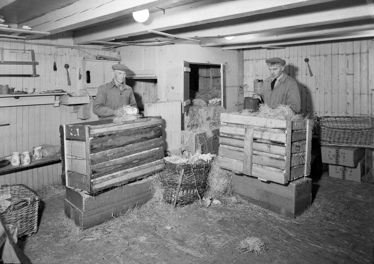 Andreas Moe Glassmagasin