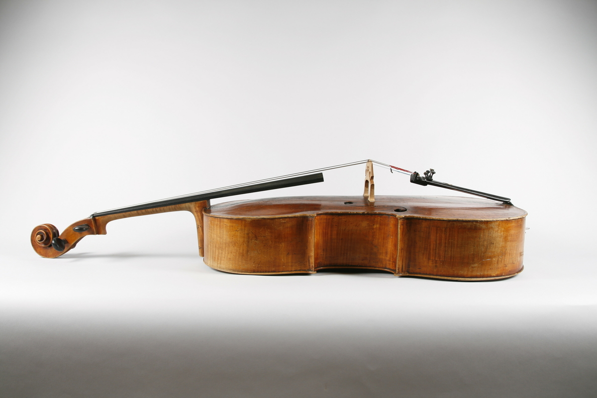 Strengeinstrument med lokk av gran. Bunn og sarg ahorn. Gripebrett og strengeholder i ibenholt, palisanderskruer. 

Hals og hode hører muligens originalt ikke til instrumentet. Skruekassen avkortet i nedre ende.