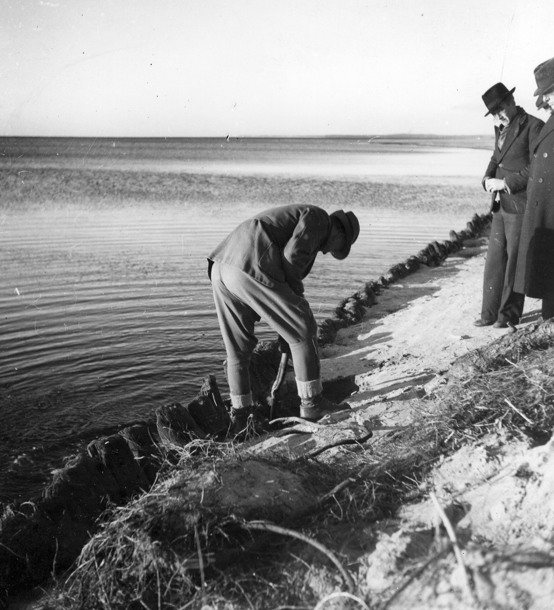 Laholm. Lagaoset del av gammalt fartyg. Fynd 1938.