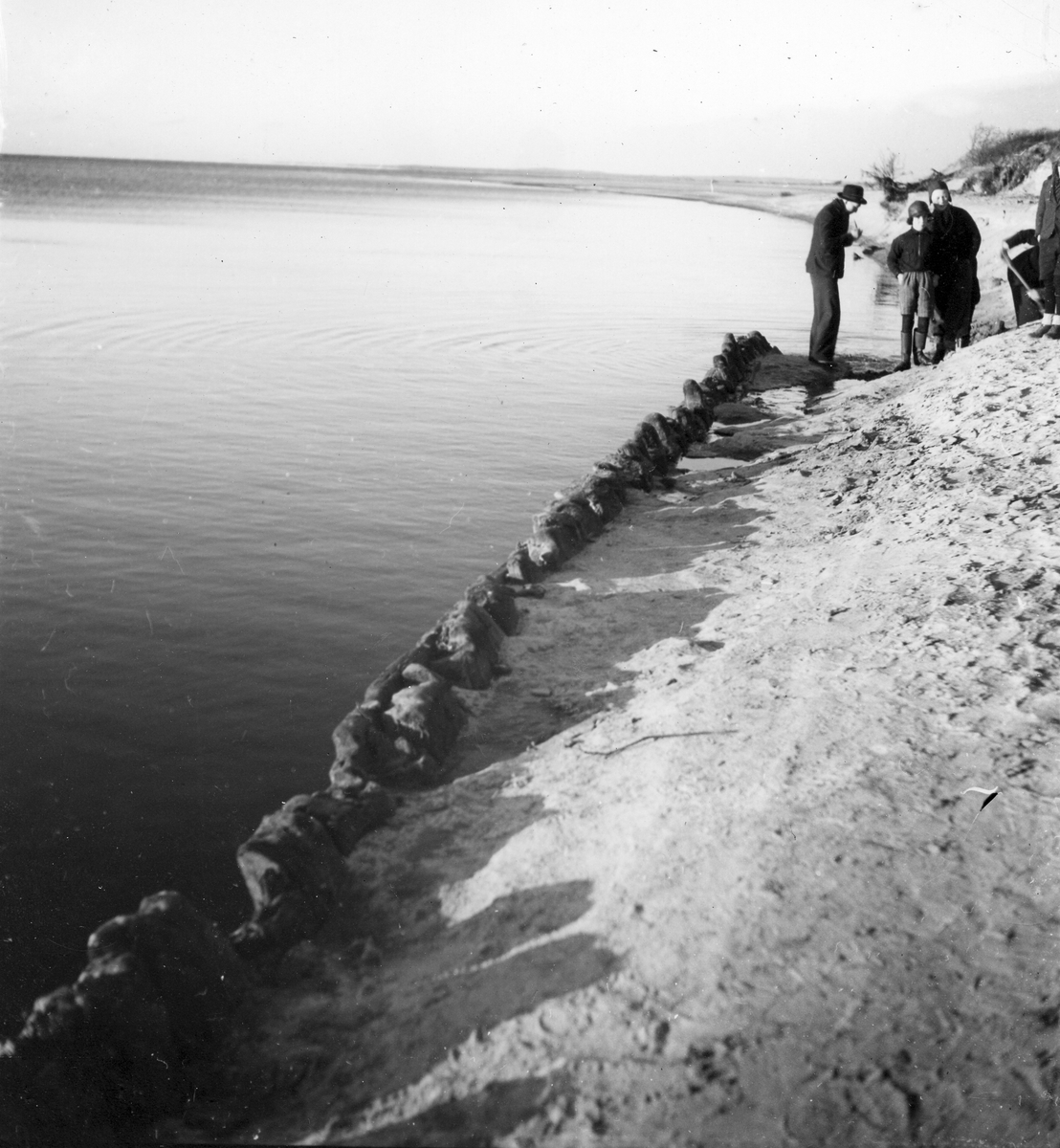 Laholm. Lagaoset del av gammalt fartyg. Fynd 1938.